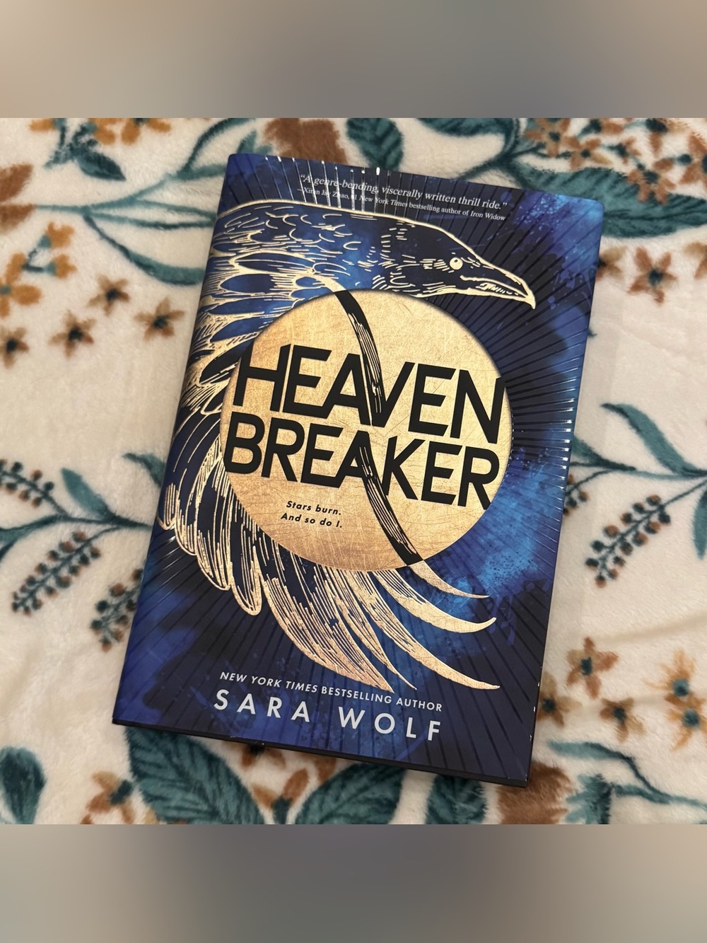 Heaven Breaker by Sara Wolf